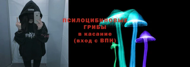 прущая мука Баксан