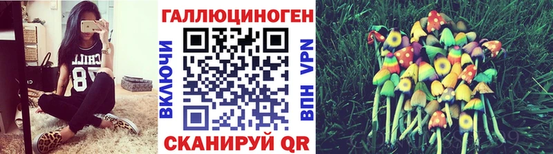 где можно купить   Каспийск  Галлюциногенные грибы MAGIC MUSHROOMS 